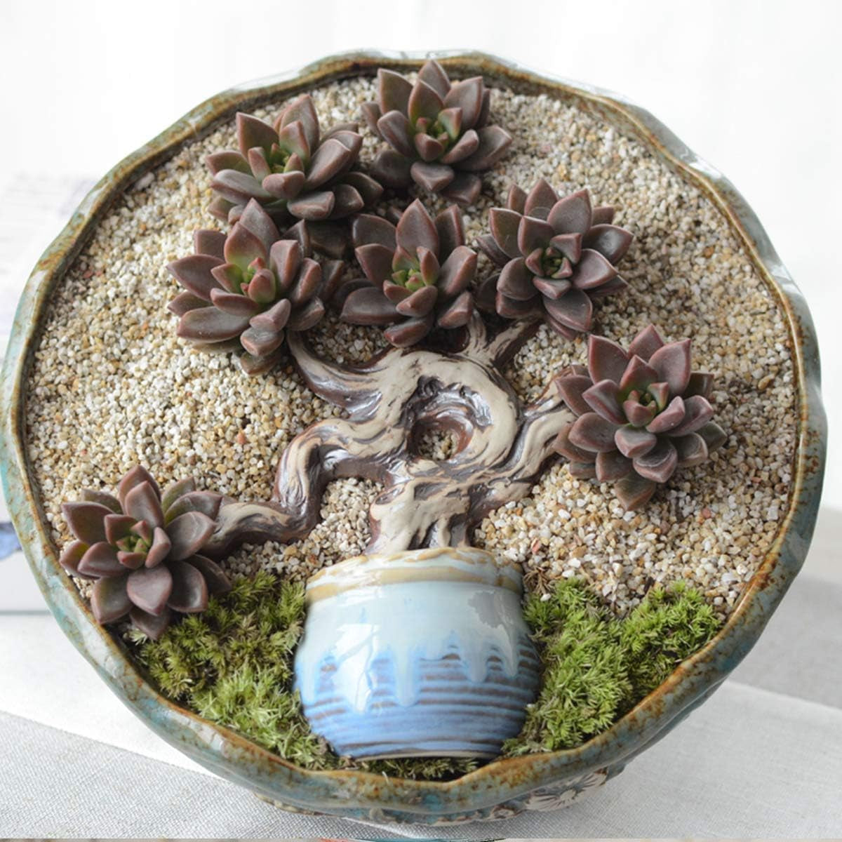 6Lbs Natural River Rocks, Succulent Cactus Gravel for Plants, Bonsai Decorative Pebbles, Planters Stones, Potting Grit for Gardening, Flower Pots, Vase Fillers, Indoor Water Fountains, Landscaping