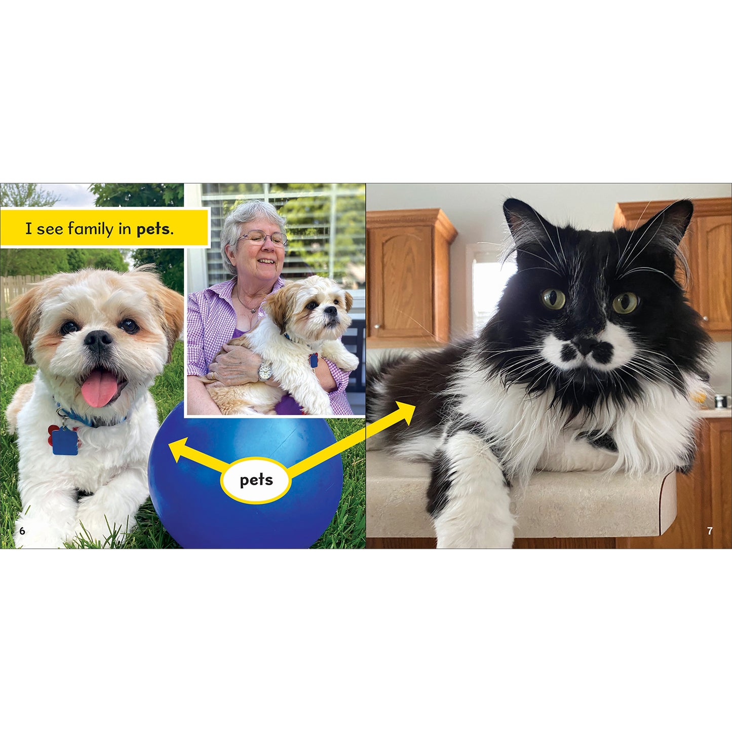 I See Family Reader, Grade PK-2, Paperback