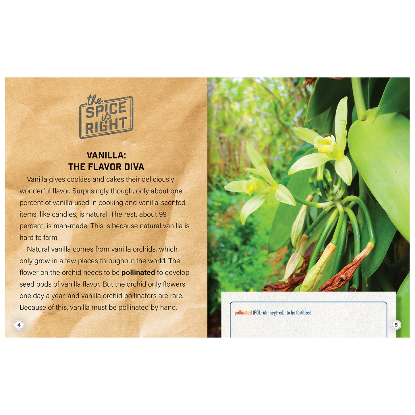 Natural, Artificial, and Man-Made