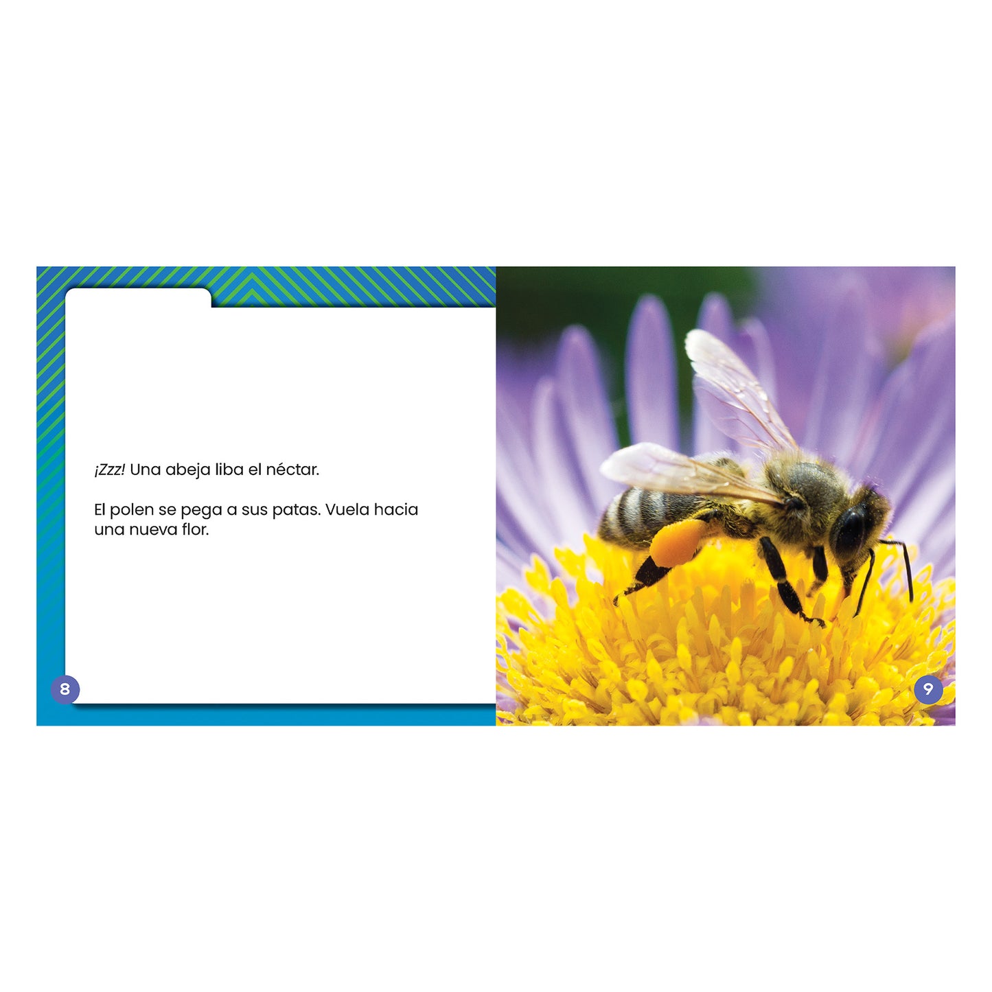 ¿Las plantas tienen bebés?