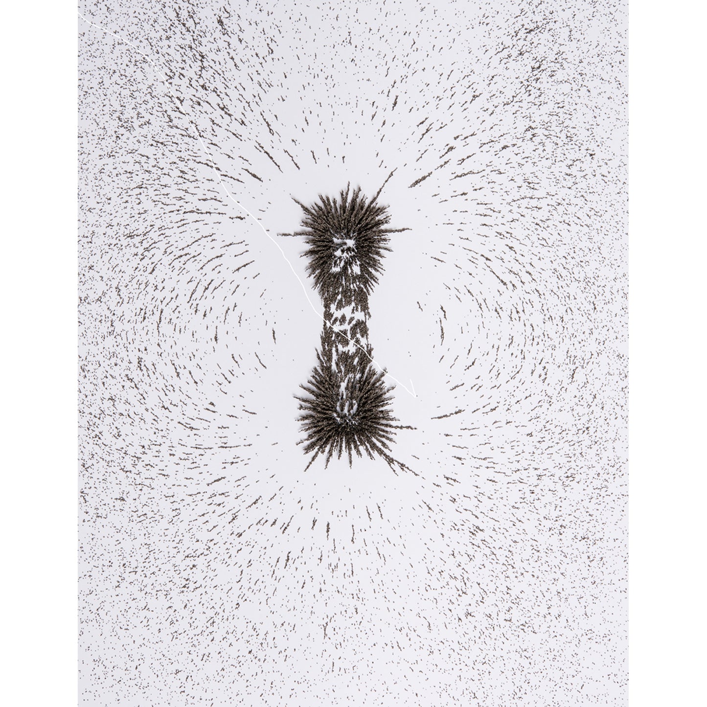 Iron Filings, 12 oz.