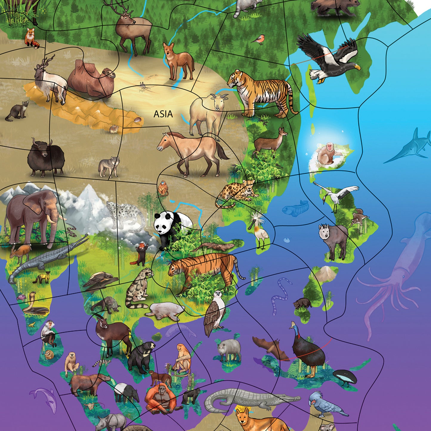 Animal Magnetism® Magnetic Wildlife Map Puzzle: Asia & Australia