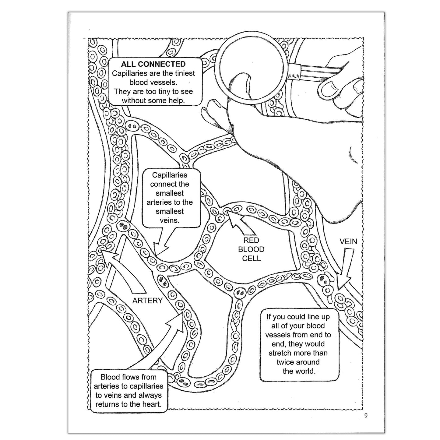 My First Human Body Coloring Book