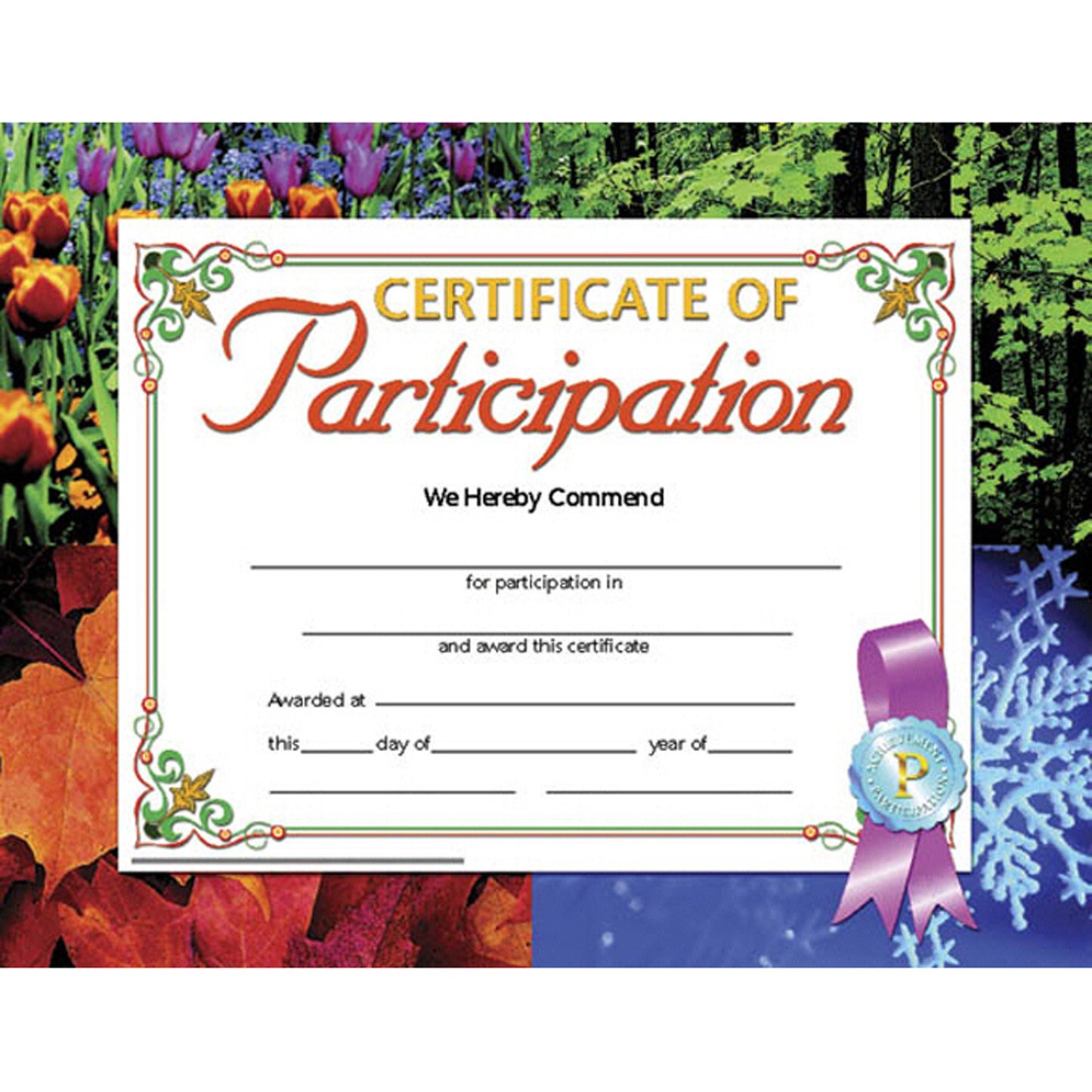 Certificate of Participation, 8.5" x 11", Pack of 30