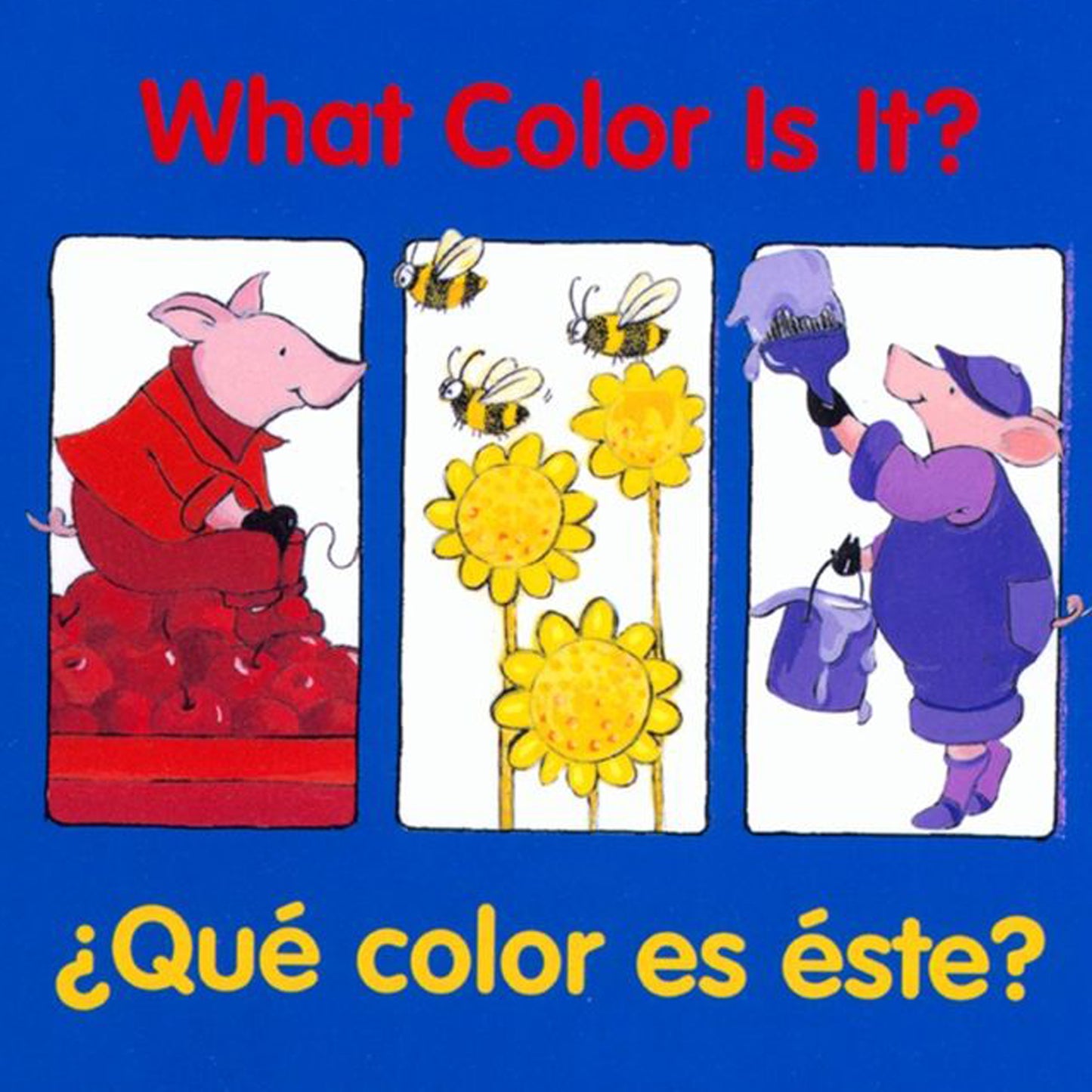 What Color Is It?, ¿qué Color Es Éste? Bilingual Board Book