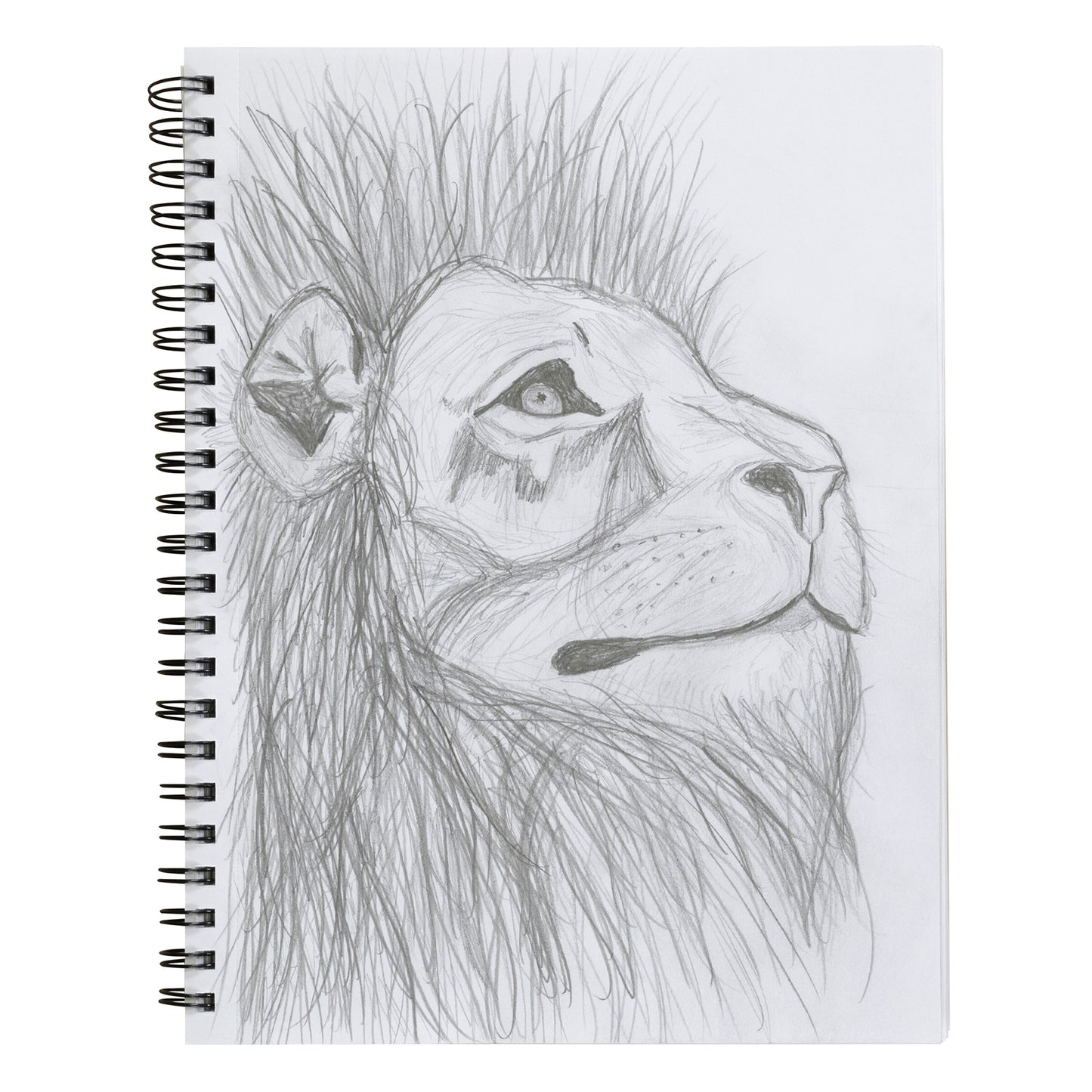 Poly Cover Sketch Book, Heavyweight, 12" x 9", 75 Sheets