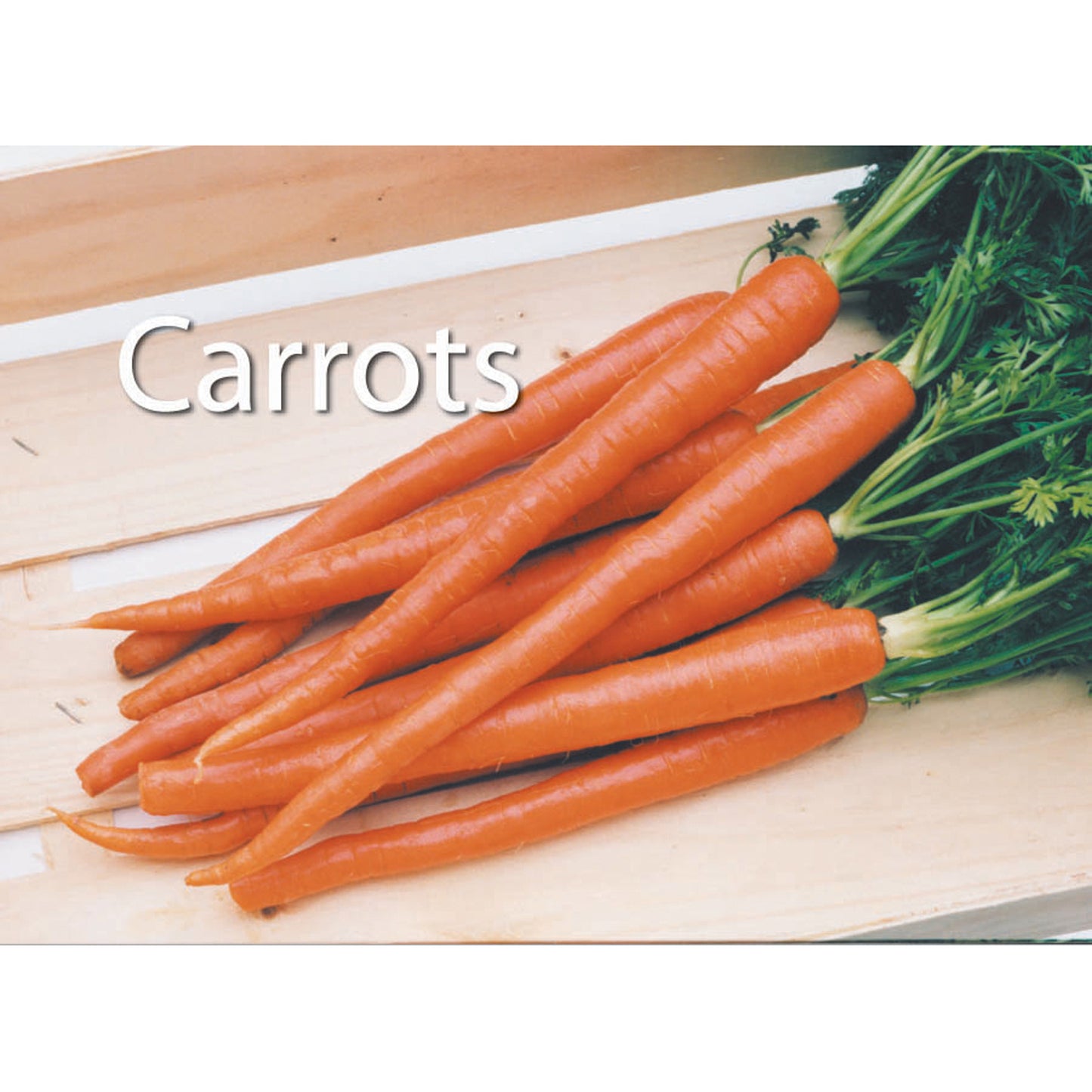 Photographic Memory Matching Game, Food