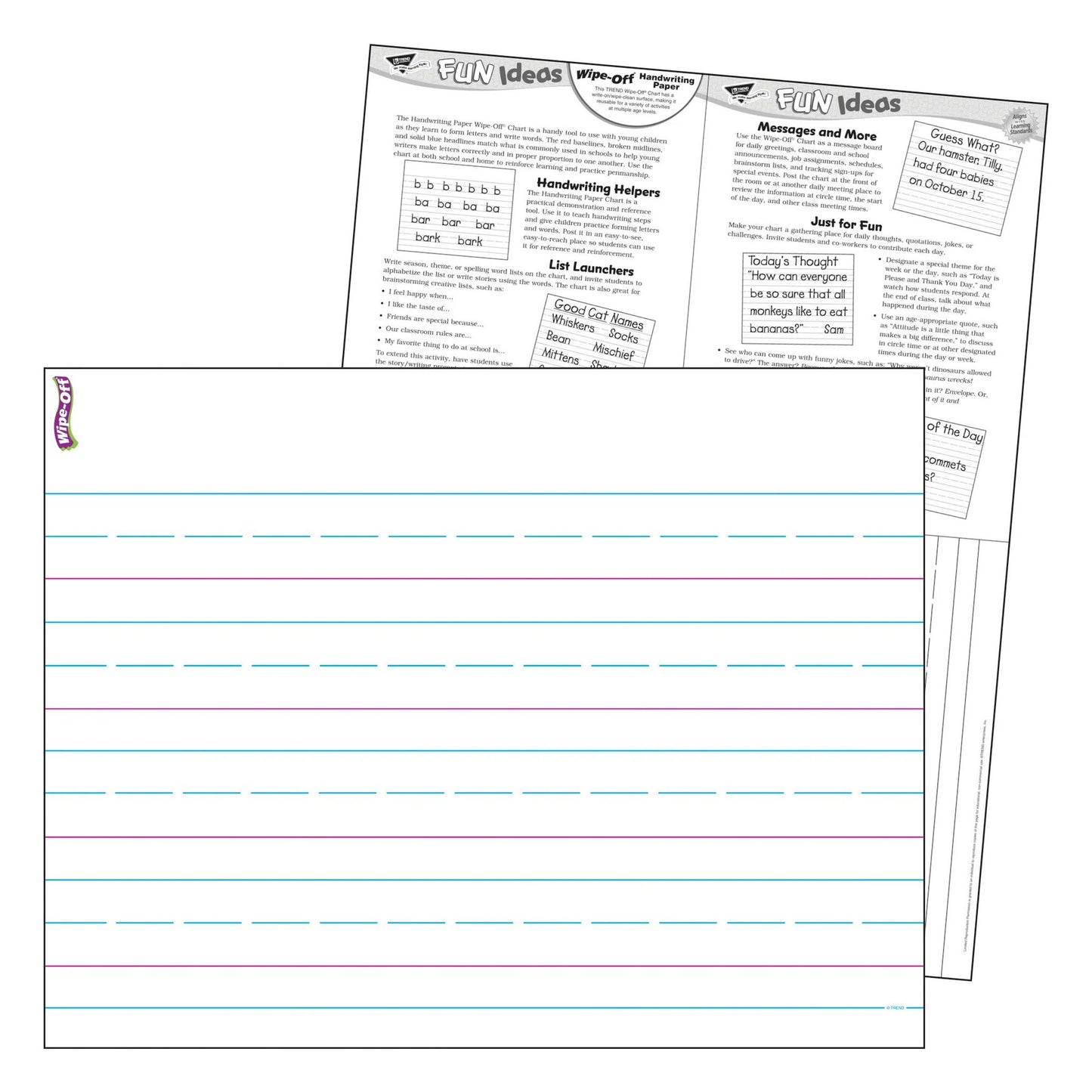 Handwriting Paper Wipe-Off® Chart, 17" x 22"