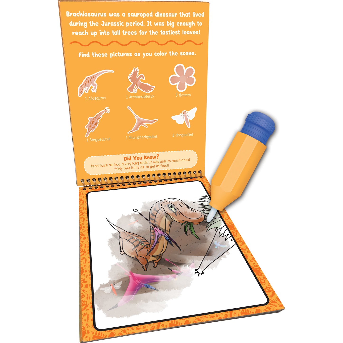 Dinosaurs Water Reveal