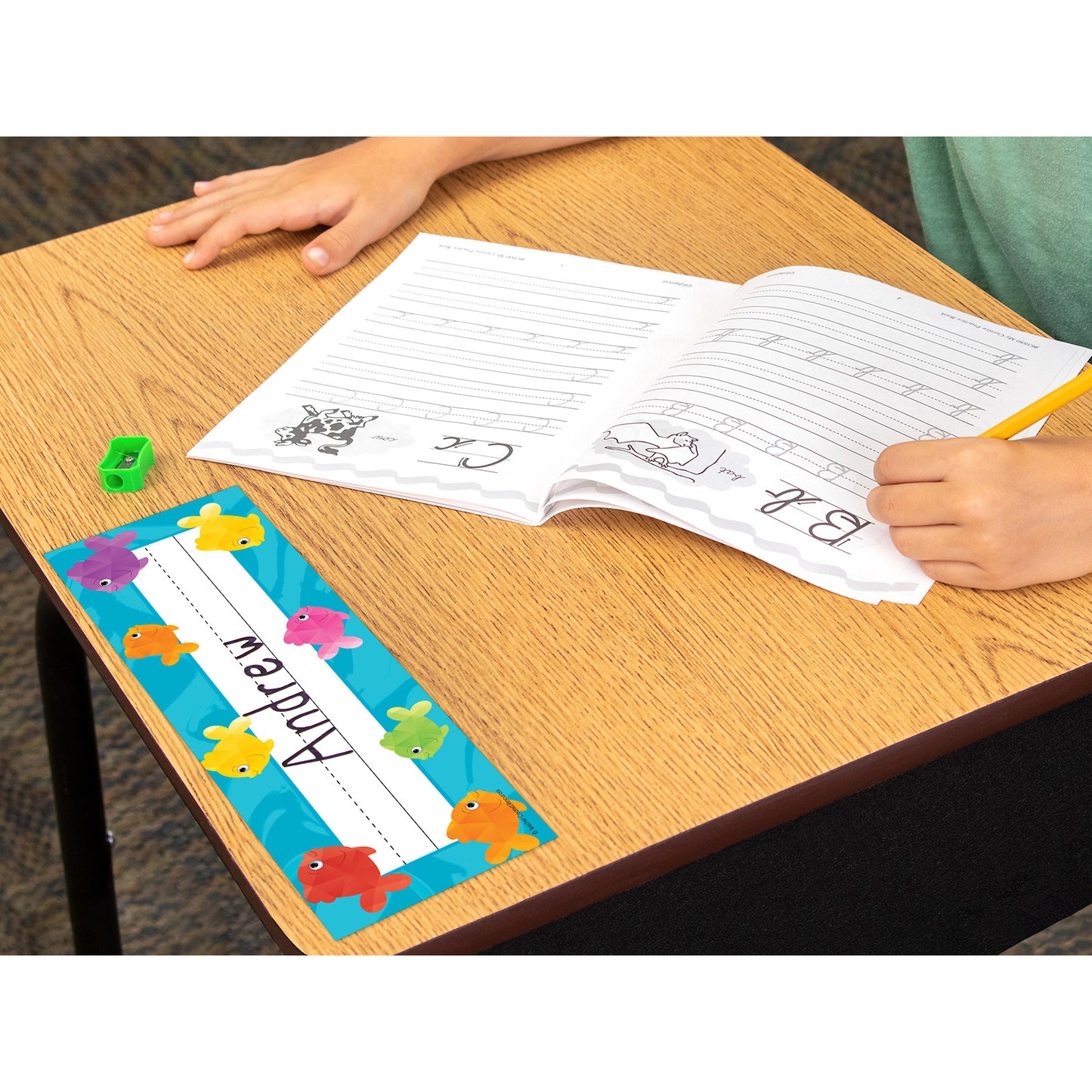 Colorful Fish Flat Name Plates, Pack of 36