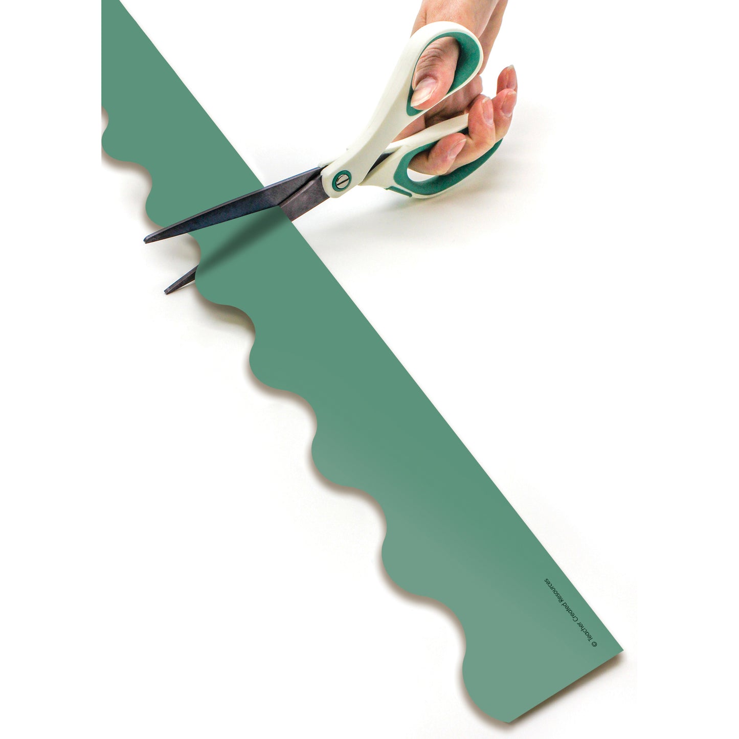 Eucalyptus Green Scalloped Rolled Border Trim, 50 Feet