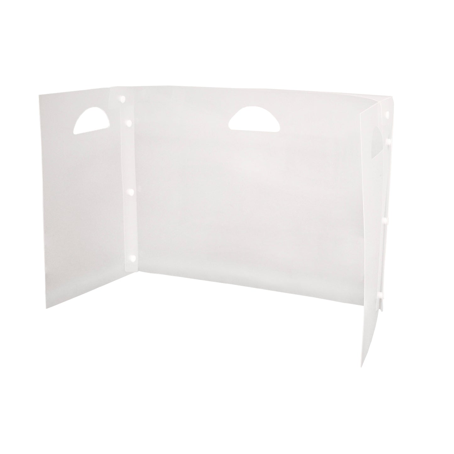 Personal Space™ Desk Dividers, PreK-Elementary, Frosted, Single