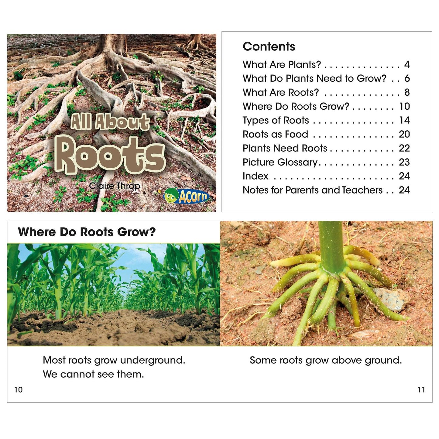 All About Plants Book Set, Set of 5 - Loomini