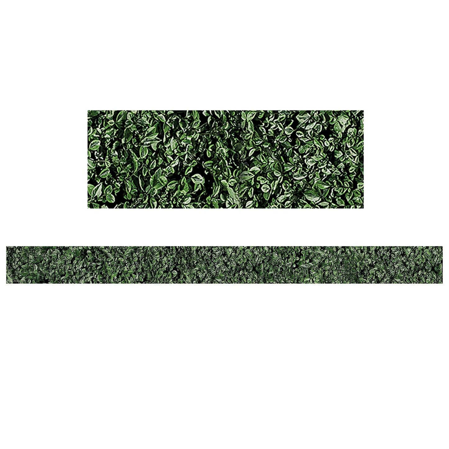Modern Farmhouse Boxwood Straight Border Trim, 35 Feet, 6 Packs - Loomini