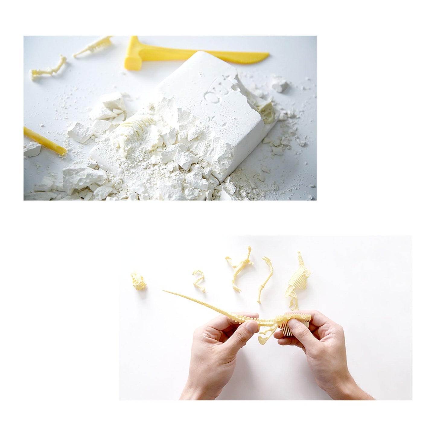 Paleo Hunter™ Dig Kit for STEAM Education - Stegosaurus - Loomini