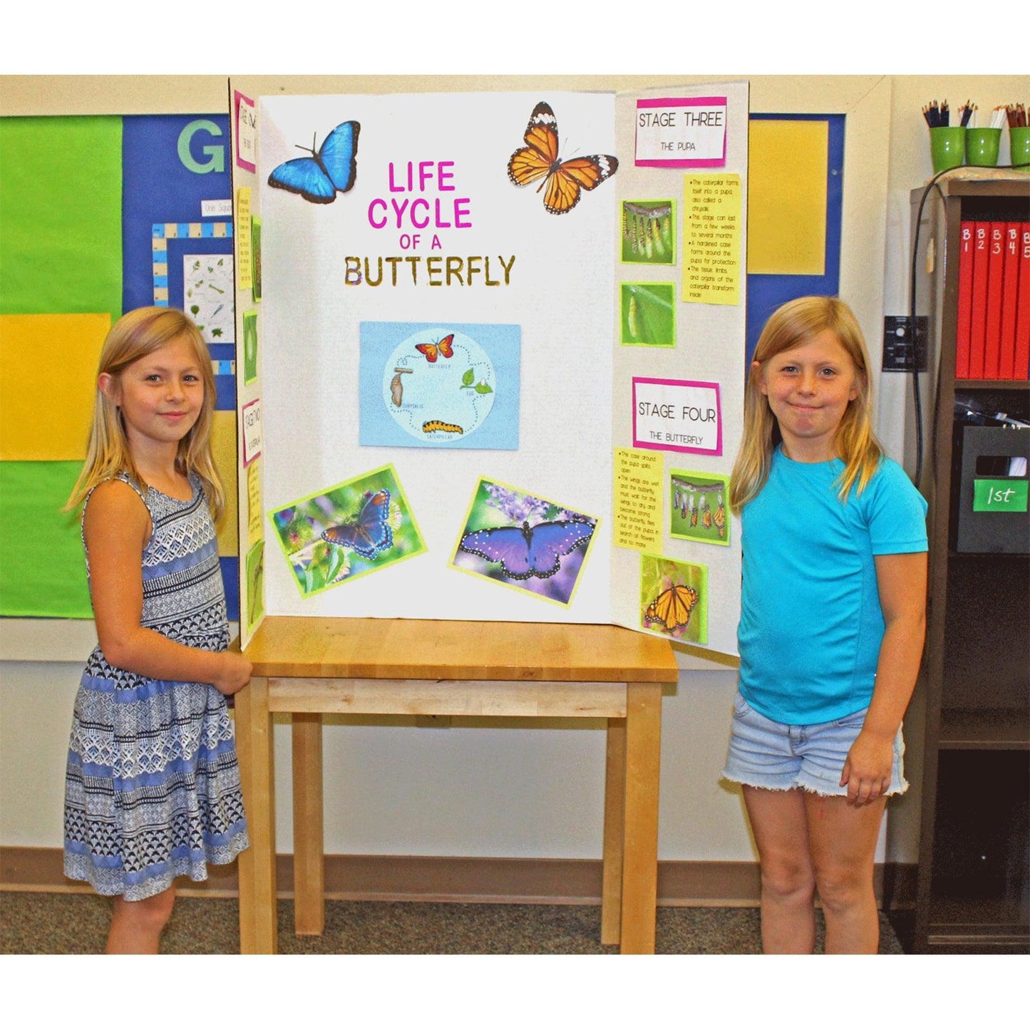 Project Board, 1 Ply, 36"W x 48"L, White, Pack of 24 - Loomini