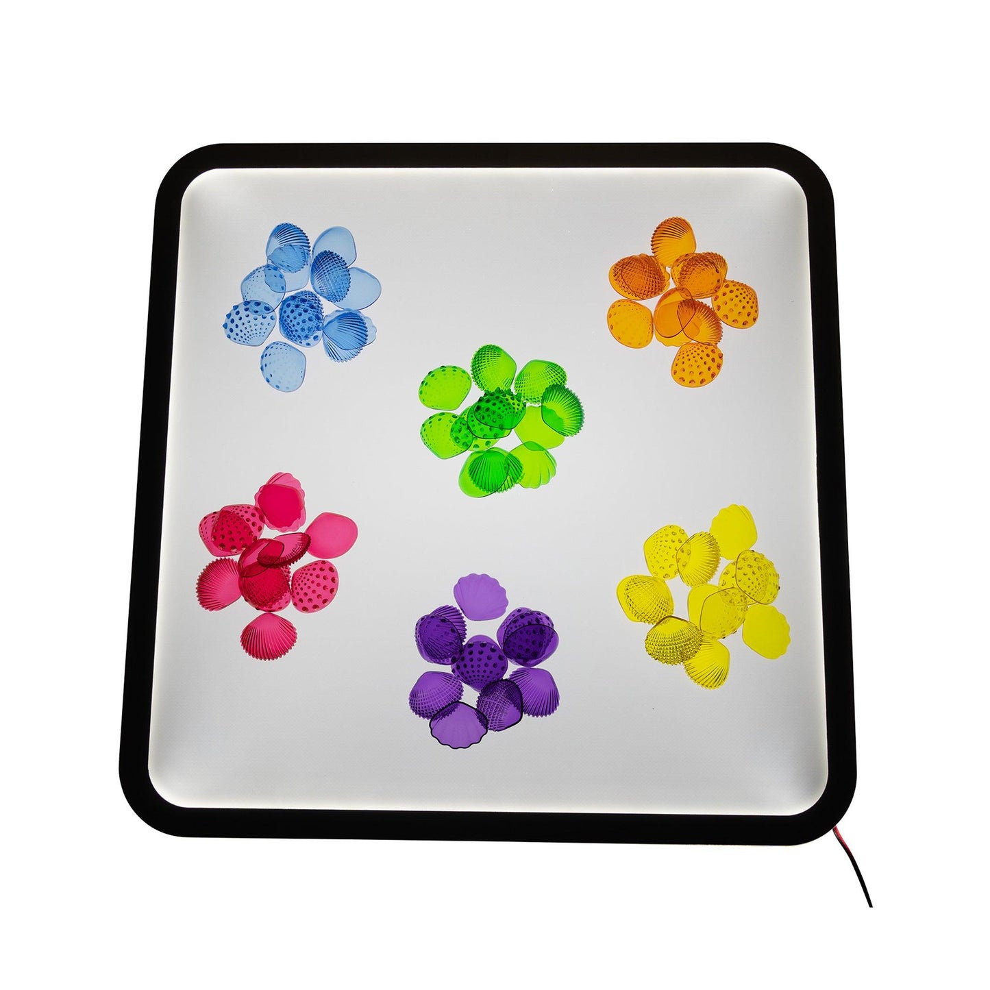 Tactile Shells - Transparent - Mini Jar - Set of 72 - Loomini