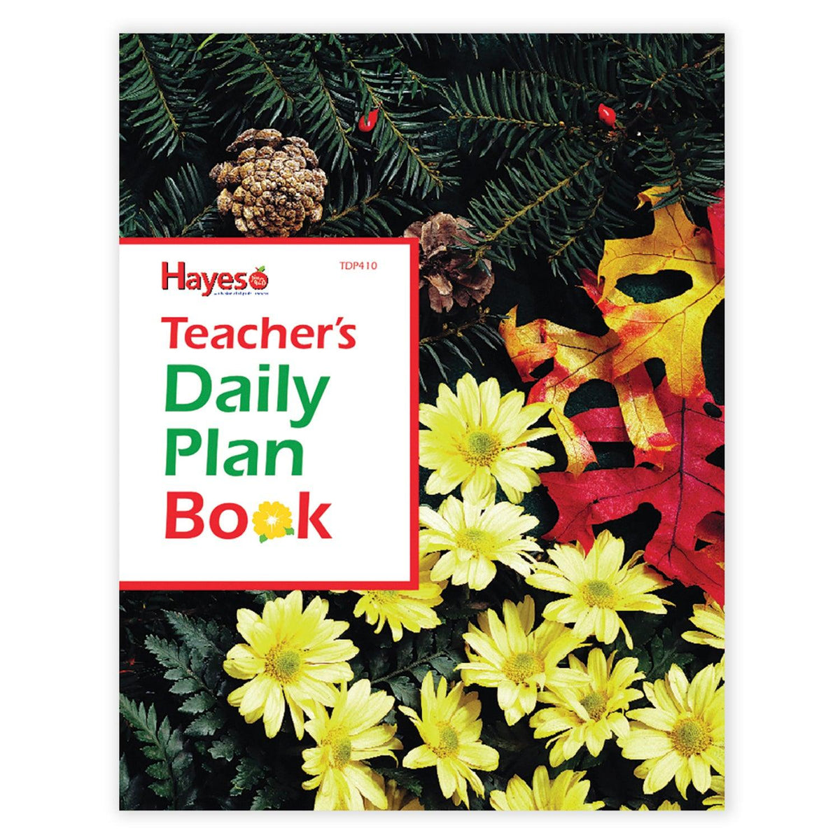 Teacher's Daily Planner, Pack of 3 - Loomini