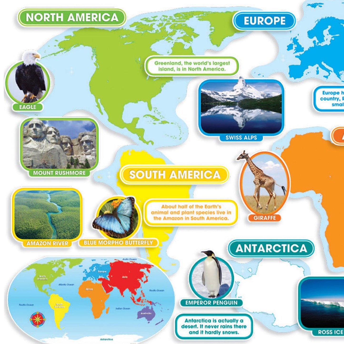 World Continents Bulletin Board Set - Loomini