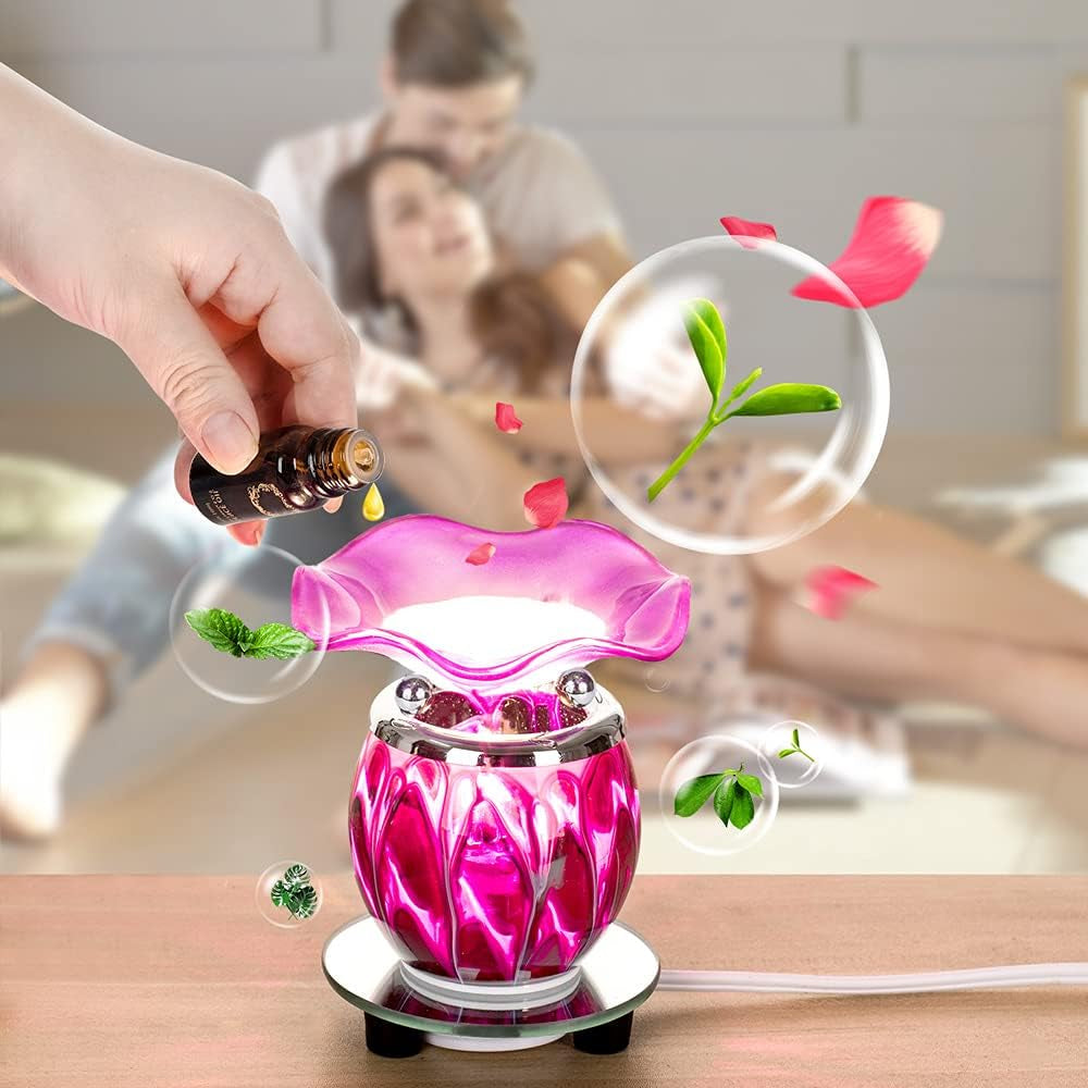 HNB Electric Oil Melt Warmer Wax Warmer Wax Melter Fragrance Lamp Candle Warmer Burner with Auto off Timer(Elk & Butterfly)