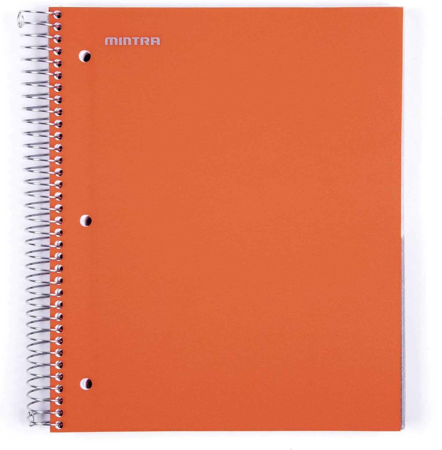 Office Durable Spiral Notebooks, 5 Subject (Arctic Ice, College Ruled 1Pk)