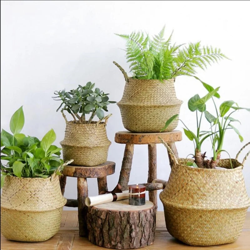 Chertsey Outdoor Pot Planter