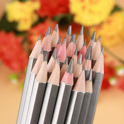 24Pcs Drawing Pencils Set, Sketch Art Graphite Drawing Pencil 9H 8H 7H 6H 5H 4H 3H 2H H HB F B 2B 3B 4B 5B 6B 7B 8B 9B 10B 11B 12B 14B