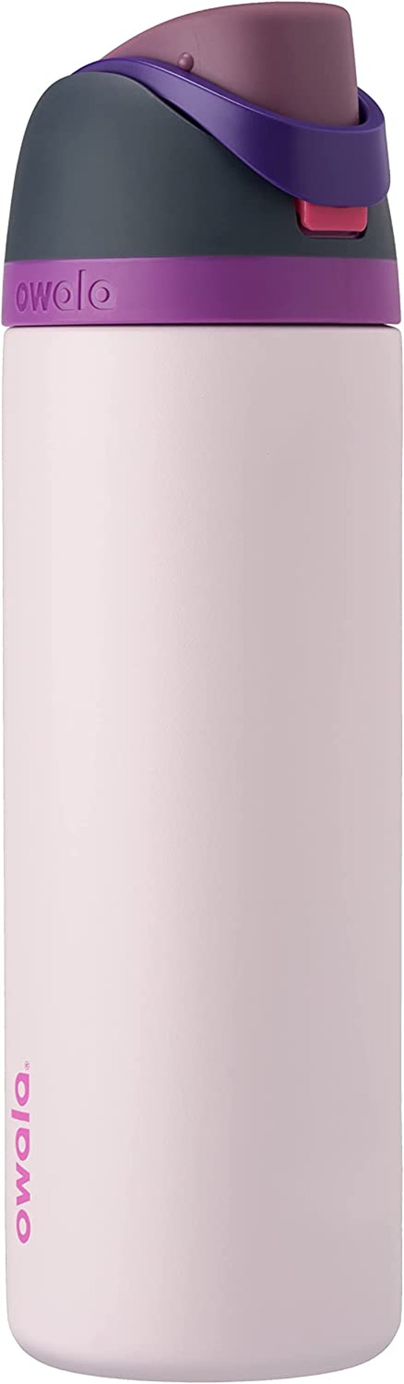 Freesip Insulated Stainless Steel Water Bottle with Straw for Sports and Travel, Bpa-Free, 24-Oz, Orchid/Orange (Tropical)
