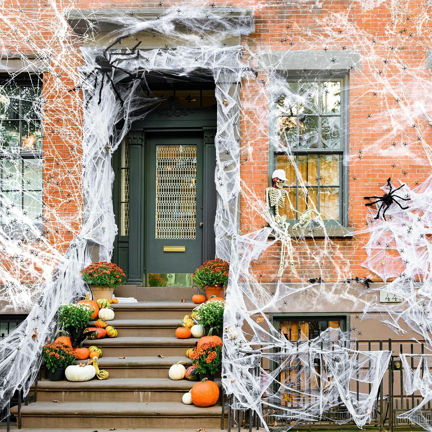 Spider Webs Halloween