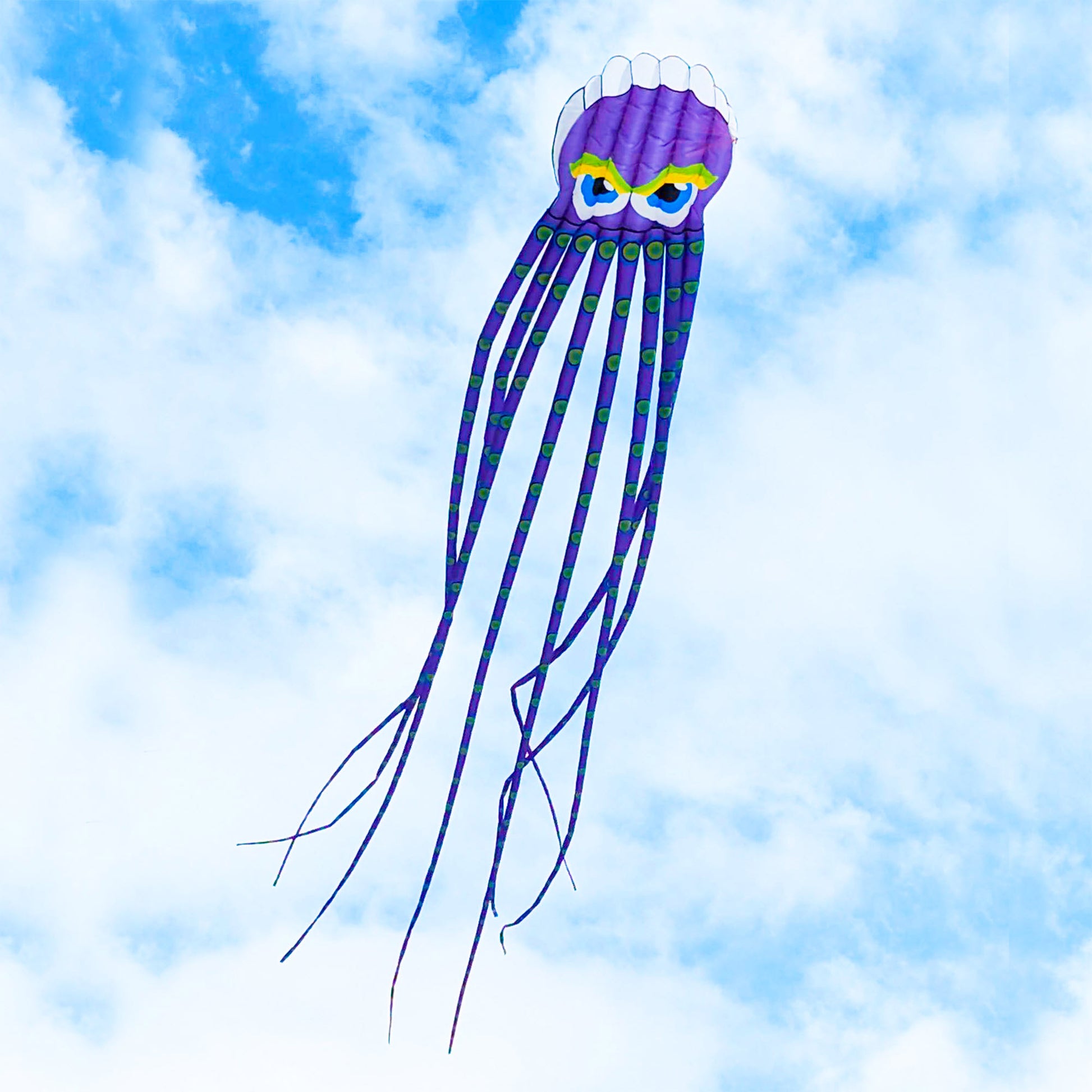 Giant 26' Octopus Airfoil Nylon 3-D Kite