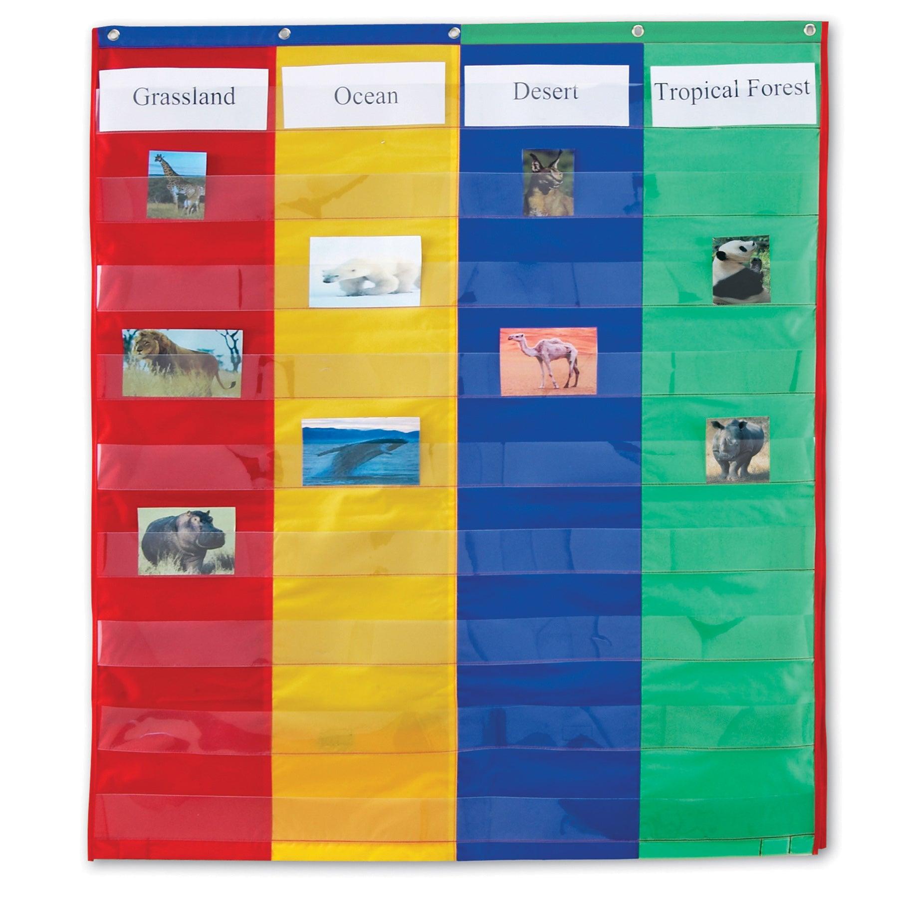 2 & 4 Column Double-Sided Pocket Chart - Loomini