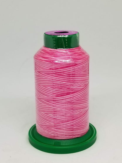 Embroidery Thread Variegated (9916 Rainbow)