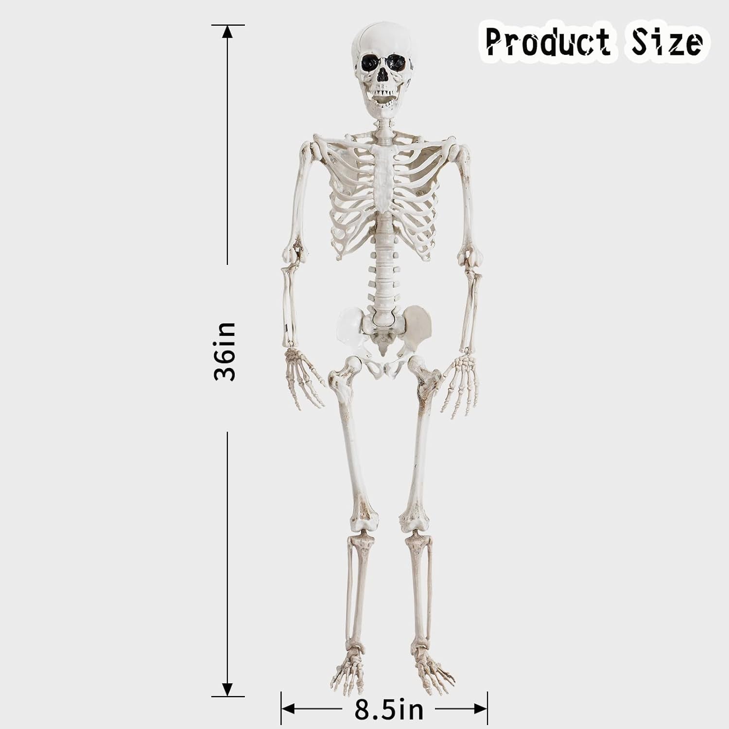 36" Halloween Skeleton Decorations,Human Bones for Halloween Party with Movable Joints,For Haunted Houses, Front Lawn, Graveyard Props