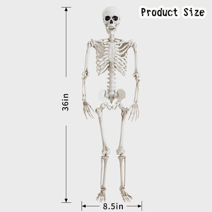 18" Posable 5 Pack Halloween Skeleton Decorations,Human Bones for Halloween Party with Movable Joints,For Haunted Houses, Front Lawn, Graveyard Props