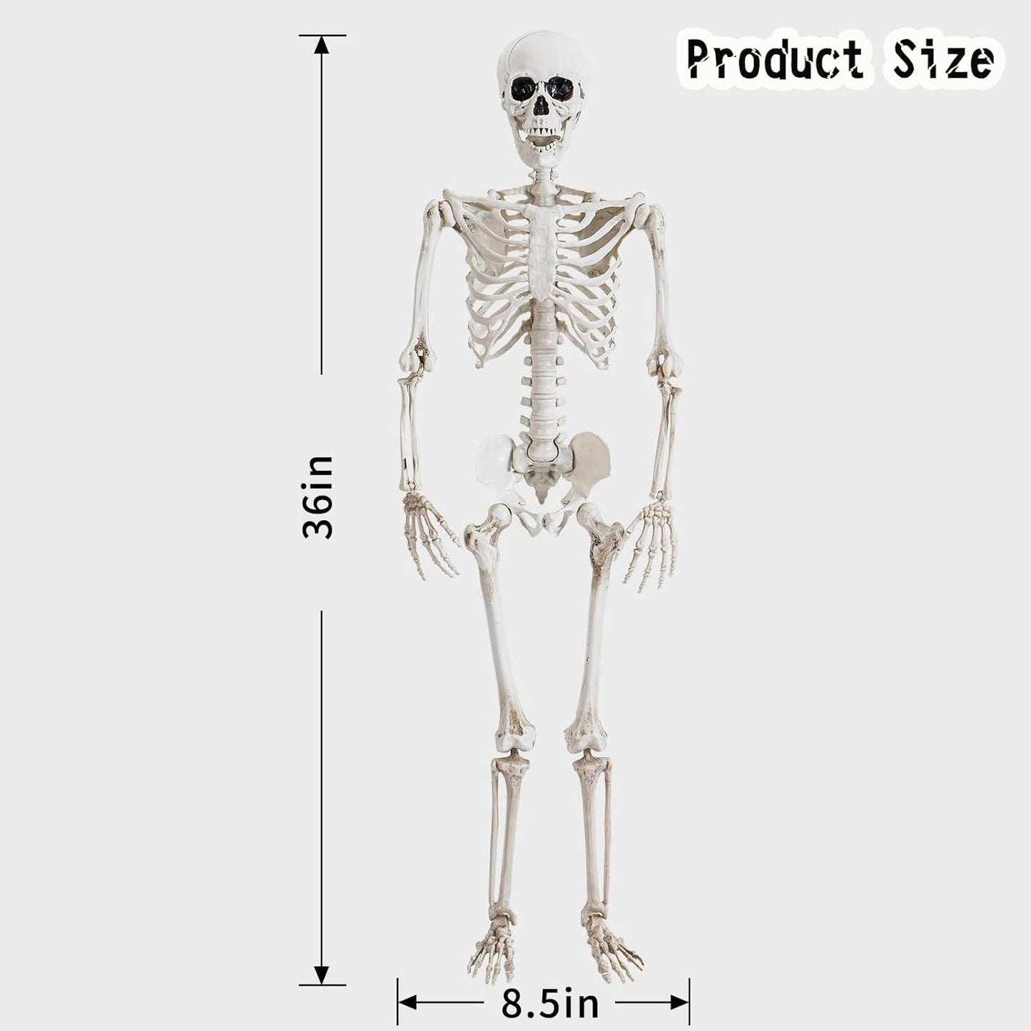 5.4 Ft Posable Halloween Skeleton Decorations,Human Bones for Halloween Party with Movable Joints,For Haunted Houses, Front Lawn, Graveyard Props