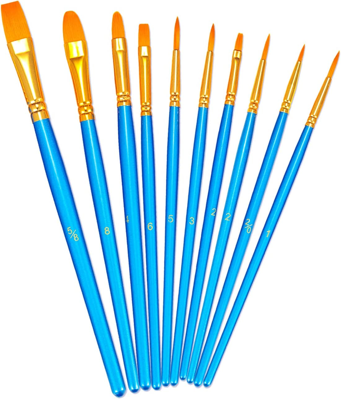 Paint Brushes Set, 2 Pack 20 Pcs Round-Pointed Tip Paintbrushes Nylon Hair Artist Acrylic Paint Brushes for Acrylic Oil Watercolor, Face Nail Art, Miniature Detailing & Rock Painting, Blue