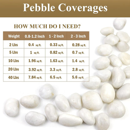2Lbs Small White Pebbles for Plants, 0.8-1.2 Inch Decorative White River Rocks for Plants, Aquariums, Landscaping. White Stones for Planter Vase and Outdoor Garden Rocks