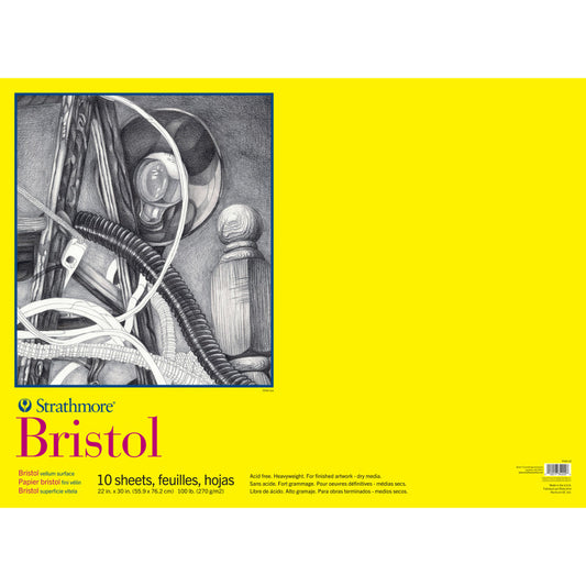 300 Series Bristol Paper Pad, Vellum Finish, Tape Binding, 10 Sheet, 22x30 inch, 1 Count