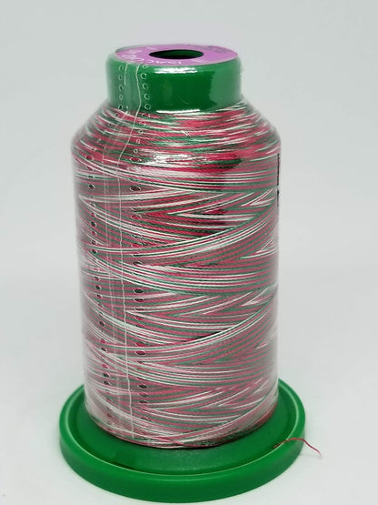 Embroidery Thread Variegated (9916 Rainbow)