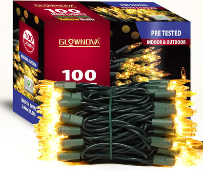 100 Mini String Lights