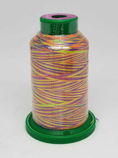 Embroidery Thread Variegated (9916 Rainbow)