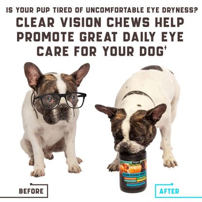 Eye Vitamins for Dogs   Dog Vision Supplement for Tear Stains Dog Eye Care