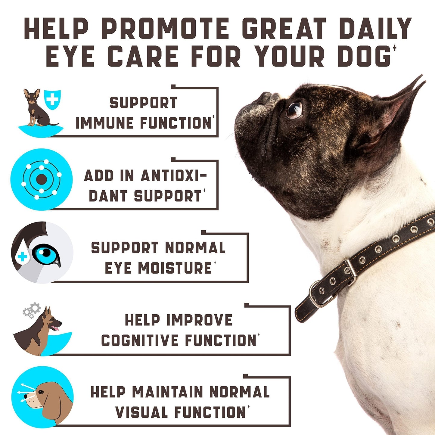 Eye Vitamins for Dogs   Dog Vision Supplement for Tear Stains Dog Eye Care