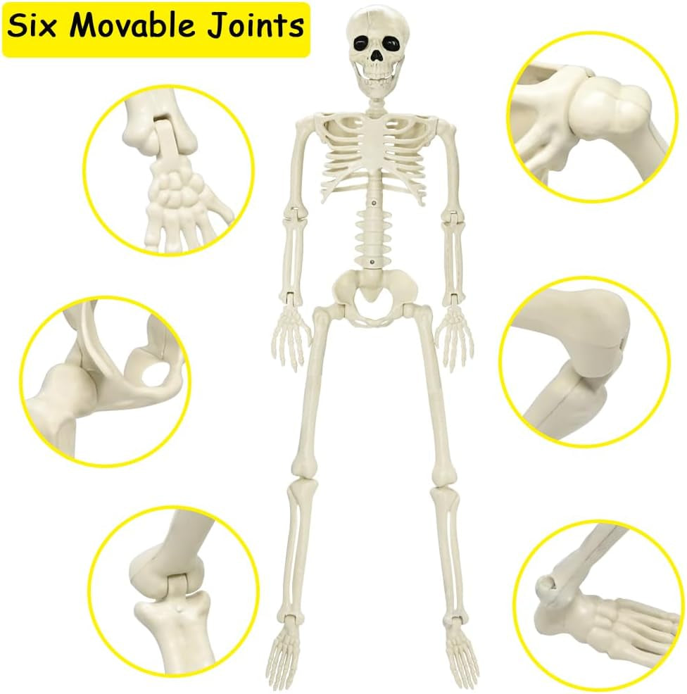 3FT Halloween Skeleton