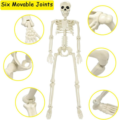 3FT Halloween Skeleton