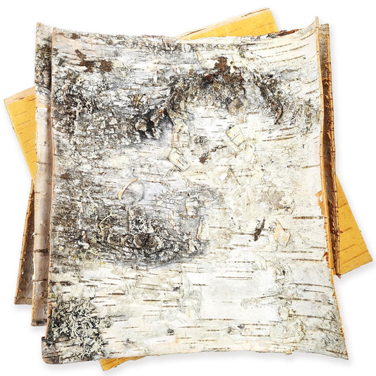 Natural White Birch Bark 3 Sheets 12  x 12    Russian Birch Bark Blank for DIY