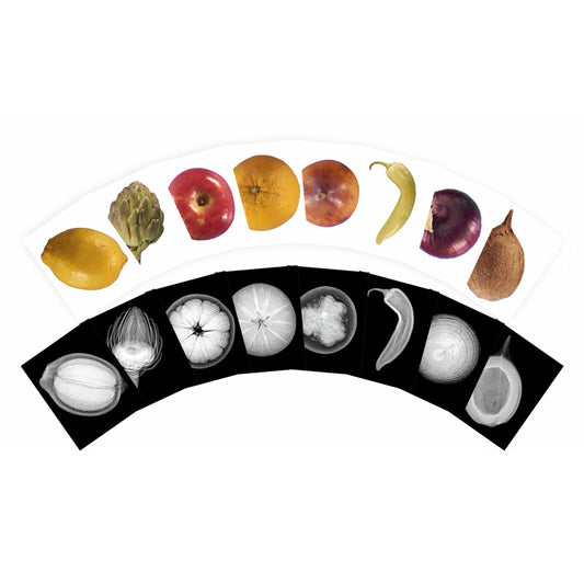 Plant X-Rays & Picture Cards, Set of 42