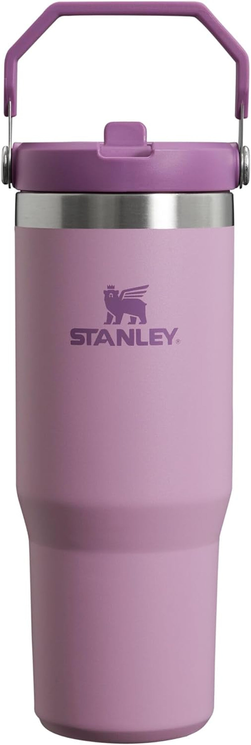 Stainless Steel Tumbler with Straw