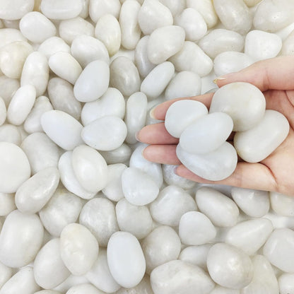 10Lbs White Pebbles for Indoor Plants, 0.8-1.2 Inch Small White River Rocks Stones for Planters, Vases, Garden, Landscaping, Top Dressing and Plant Bottem Drainage