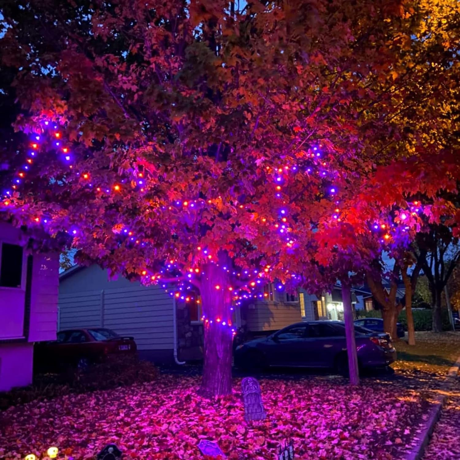 Orange Purple Halloween Lights 174FT 500 LED Halloween String Lights with 8 Modes Timer Waterproof Plug-In Orange Purple String Lights for Indoor Outdoor Halloween Decorations